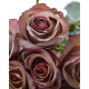 Роза чайно-гибридная кофейная с блестящими листьями "Лакшери"